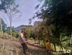 Cek Lokasi Siap Tanam Bhabinkamtibmas Terjun Langsung Kelapangan