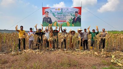Wujud Nyata Sinergi, Kapolres Gresik Apresiasi Panen Raya Jagung di Desa Karang Andong, Driyorejo