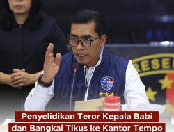 Penyelidikan Teror Kepala Babi dan Bangkai Tikus ke Kantor Tempo