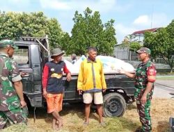 Babinsa Guworejo Dorong Petani Jual Gabah Ke Bulog