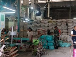 Babinsa Dampingi Kunker Tim Bulog Ke Penggilingan Padi