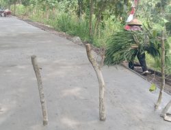 Betonisasi Jalan Hampir 100%