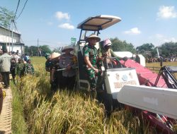 Berkat LTT, Produktivitas Padi di Ngawi Diprediksi Meningkat
