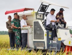 Pangdam I/BB Hadiri Panen Raya Padi Bersama Presiden RI dan Petani di 14 Provinsi