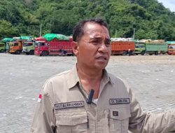 Jerita Peternak Sapi: 2 ekor Sapi Mati Sia-Sia Akibat Kelangkaan Kapal di Pelabuhan Gili Mas 