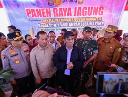 Kapolda NTB dan Mentan RI Rayakan Panen Bersama Warga Sumbawa