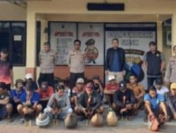 Pemberantasan Judi Sabung Ayam di Ujungpangkah, Polisi Amankan 17 Orang Beserta Barang Bukti