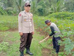 Dukung Ketahanan Pangan, Aiptu Jemi Aldrian Dampingi Petani Ketela Pohon