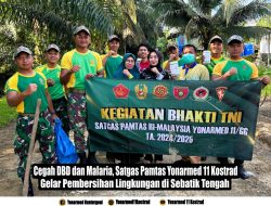 Cegah DBD dan Malaria, Satgas Pamtas Yonarmed 11 Kostrad Gelar Pembersihan Lingkungan di Sebatik Tengah