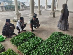 Babinsa Selo Semangati Petani Sayur Wonodoyo