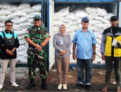 Petani Merauke Panen Berkah, Beras Lokal Siap Suplai Papua