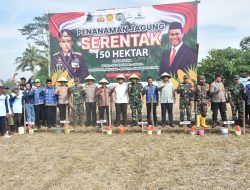 Dukung Ketahanan Pangan Nasional Dandim 0818 Malang – Batu Bersama Forkopimda Hadiri Penanaman Jagung Serentak