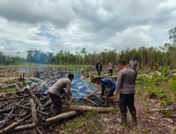 Polsek Kuala Behe Cek Persiapan Lahan Untuk Penanaman Jagung, Dukung Ketahanan Pangan