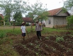 Diharapkan Keberlanjutan Program Ketahanan Pangan Bergizi Dapat Terus Ditingkatkan