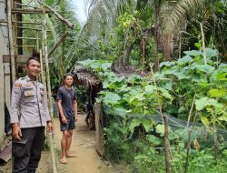 Dukung Program Ketahanan Pangan, Bhabinkamtibmas Polsek Menjalin Cek Perkembangan Lahan P2B