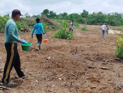 Polsek Mandor Gencar olah Lahan Percontohan Penanaman Jagung