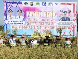 Dukung Ketahanan Pangan, Forkopimda Kabupaten Blitar Panen Raya Dan Sosialisasi Padi Sehat Organik