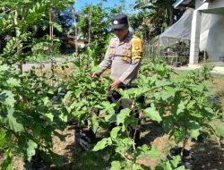 Polsek Sebangki Apresiasi Upaya KWT Anggrek dalam Program Pekarangan Pangan Lestari