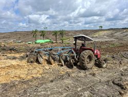 Dukung Ketahanan Pangan, Poktan Rajawali Polres Landak Gunakan Traktor Siapkan Lahan Jagung