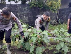 Sinergi Polri dan Warga, Wujudkan Kemandirian Pangan di Desa