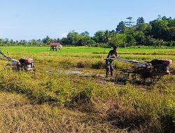 Ketahanan Pangan Satgas TMMD Ke-124 Kodim 1802/Sorong Bersama Masyarakat Garap Lahan 2 Ha