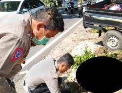 Pick Up Tabrak Pohon di Gerung, Bocah 8 Tahun Tewas