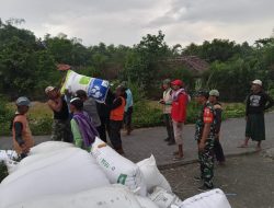 Babinsa Ramil 0819-03/Kraton Dampingi Petani dalam Serap Gabah di Desa Bendungan