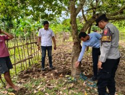 Warga Pengantap Ditemukan Meninggal Dunia di Kebun Sekotong, Keluarga Korban Tolak Autopsi
