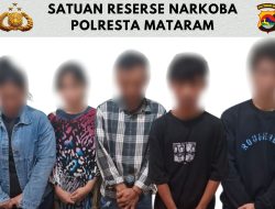 Kembali 5 Terduga Narkoba di Mataram Ditangkap Polisi, Dua Diantaranya Perempuan