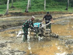 Wujudkan Program Kasad dalam Ketahanan Pangan, Satgas TMMD Ke-124 Kodim 1802/Sorong Mematangkan Lahan Pertanian