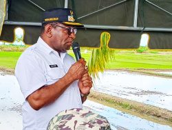 Dorong Kemandirian Pangan, Merauke Galakkan Pertanian Modern di Distrik Kurik