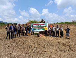 Penanaman Jagung Perdana Di Lahan Perkebunan Jagung Polri Presisi Polres Landak Rajawali Polsek Menjalin