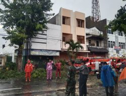 Babinsa Gerak Cepat, Bantu Evakuasi Pohon Tumbang