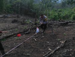 Bhabinkamtibmas Desa Pahauman Dampingi Penanaman Jagung Poktan Barage Jaya