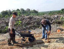 Inovasi Polsek Mandor: Manfaatkan Lahan Kosong untuk Jagung Percontohan