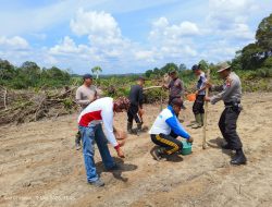 Penanaman Perdana Jagung di Lahan Percontohan Polsek Mandor: Kolaborasi POLRI dan BPP Kecamatan Mandor