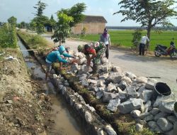 Babinsa Ngemplak Dan Warga Bangun Talud di Persawahan Desa Dibal