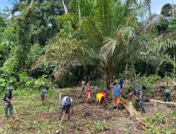 Satgas Yonif 131/Brajasakti Laksanakan Kemandirian Pangan di Perbatasan Papua