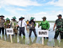 Kemitraan Tani di Mulai, BULOG dan KODIM Gelar Tanam Padi Perdana