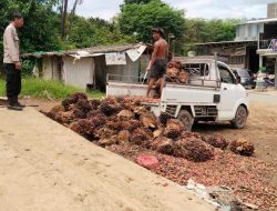 Polsek Sengah Temila Monitoring Kegiatan RAM 99 Pahauman untuk Jaga Kamtibmas