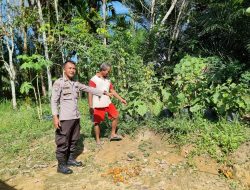 Polsek Menjalin Dorong Swasembada Pangan, Bhabinkamtibmas Desa Tempoak Cek Lahan Pangan Bergizi