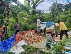 Sinergi Warga dan Polisi , Desa Andeng Sukseskan Panen Jagung Pertama