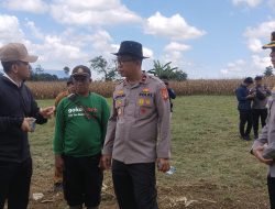 Presiden Prabowo Akan Hadiri Panen Raya Jagung Serentak Dengan Total Luas Lahan 851,12 Ha di Bengkayang