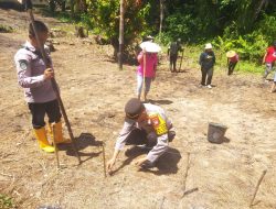 Kapolsek Sebangki Bersama BPP dan Poktan Sumber Rezeki Laksanakan Penanaman Jagung di Desa Sebangki
