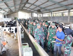 Bekali Prajurit Jelang Masa Pensiun Kodim 0808 Berikan Pengetahuan Beternak Sapi Perah