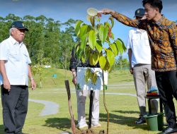 Hari Ke-2 Kunjungan Kerjanya di IKN, Wapres RI Mas Gibran Rakabuming Raka Menanam Pohon Ulin