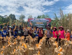 Kolaborasi Polisi dan Petani: Panen Raya Jagung Tahap II di Desa Tunang