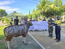 Kodim 1607/Sumbawa Terima Bantuan Sapi Kurban dari PT AMNT, Dandim: Wujud Kepedulian dan Sinergi yang Positif