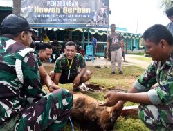 Bakti Sosial TNI, Kurban Idul Adha di Bagikan Kepada Semua Golongan di Merauke