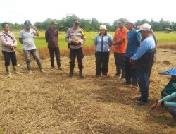 Pembinaan Kelompok Tani “Cemerlang” Dukung Ketahanan Pangan di Rantau Panjang, Kecamatan Sebangki